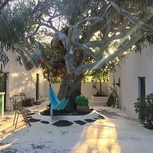 Patio Ii At Bed & Breakfast